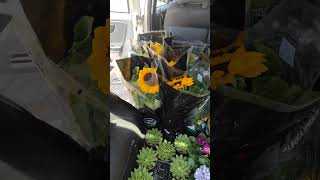 floricultura plants viralvideo viralreels viralshort [upl. by Mali]