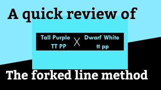 shorts  Dihybrid Cross in pea using forked line method in Genetics  branch line [upl. by Eirrok]