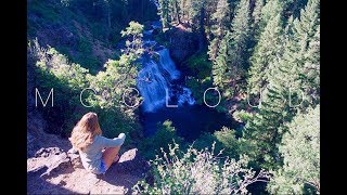 McCloud WATERFALLS  CAMPING amp CLIFF JUMPING [upl. by Sergias]