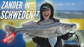 Zander Vlog So läufts richtig gut in Schweden [upl. by Goeselt]