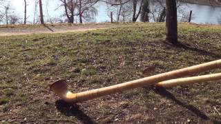 2 Alphorn Players at the Chatzensee in Switzerland [upl. by Notsahc]