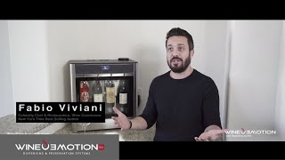 WINEEMOTION Wine Dispensing System for Home [upl. by Stanly126]