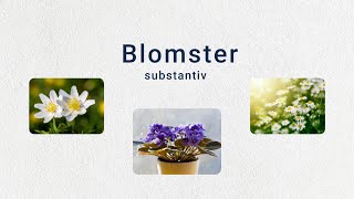 Tema Blomster A2 Substantiv levitator substantiv norsk norskkurs norwegian blomster sommer [upl. by Mariano149]