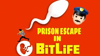 HOW TO ESCAPE EVERY PRISON IN BITLIFEEASIEST WAYS POSSIBLE [upl. by Naed]