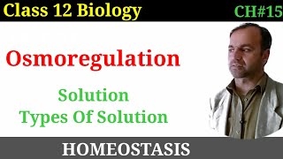 Osmoregulation  Osmoregulation in Animals  Solution  Types of Solution [upl. by Niel559]