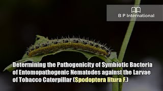 Determining the Pathogenicity of Symbiotic Bacteria of Entomopathogenic Nematodes against the Larvae [upl. by Aihseya337]