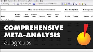 MetaAnalysis Subgroups  Comprehensive MetaAnalysis [upl. by Ahsrats450]