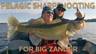 Pelagic Sharpshooting for Big Zander  Westin Fishing [upl. by Lamhaj]