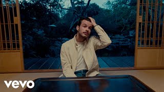 Rex Orange County  Finally Video [upl. by Brottman]