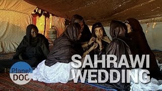 Sahrawi wedding  Culture  Planet Doc Full Documentaries [upl. by Claudetta]