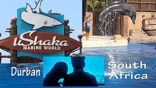 uShaka Marine World  Dolphin Stadium  Feeding Sharks [upl. by Dugald]