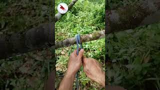 Teknik Ikat Tali di Dahan Kayu ikatan knot diyrope ikat dipokok knottutorial ropecrafts [upl. by Truc]