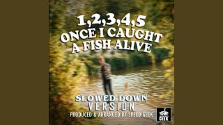 12345 Once I Caught A Fish Alive Slowed Down Version [upl. by Brose]