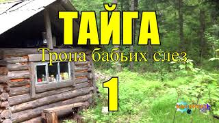 ОТШЕЛЬНИКИ  ЖИЗНЬ В ТАЙГЕ 1 из 16 [upl. by Quirk]