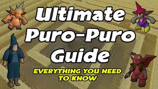 Puro Puro Guide Everything you need to know 2021  OSRS [upl. by Ahsyia]