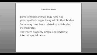 291 Invertebrate Evolution Part 1 [upl. by Waine]