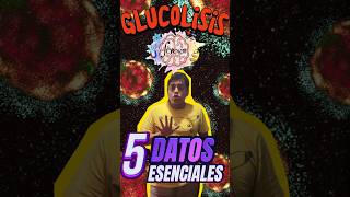 Glucólisis Simplificada 🔬 5 Puntos Esenciales que Debes Conocer 📚 [upl. by Neerual160]