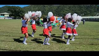 March Past at Hillsborough Government School athletic sport meet [upl. by Drofnats]