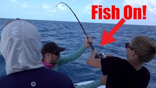 Live Bait fishing over Islamorada Wrecks Catch Clean Cook [upl. by Raina]