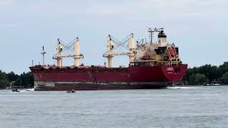 Fednav Freighter Federal Churchill Sailing Upriver 62824 [upl. by Tirrell739]