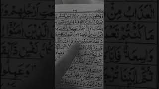 ya ibadan allazn amanuensis surat  YouTube short video  Islam ☪️ video [upl. by Tjon]