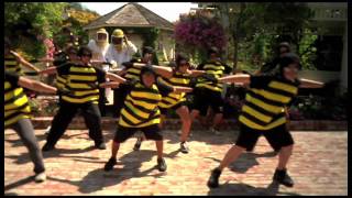 Do the Honey Bee [upl. by Thom]