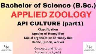 Apiculture  Part1  Applied Zoology  For BSc Students  Concepts amp Notes Academy by Ayushi [upl. by Nevanod542]