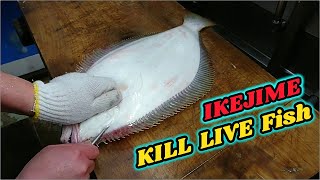 IKEJIME Slaughtering LIVE Fish Technique  Sashimi Benefits Most From Ikejime [upl. by Cobby]