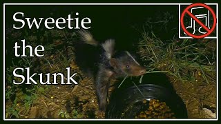 Sweetie the Skunk  No Music [upl. by Ybot]