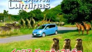 Daihatsu Boon Luminas  2008 cm [upl. by Lletniuq]