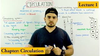 how Circulation works Circulation and circulatory system overview Chapter circulation Video 1 [upl. by Ecinerev674]