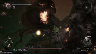 NG  Giant Centipede  Nioh Remastered [upl. by Nyletac]