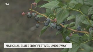 Blueberry Festival returns to South Haven [upl. by Shellie]