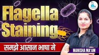 Flagella Staining  Flagella Staining in hindi  Types amp method [upl. by Thamora980]