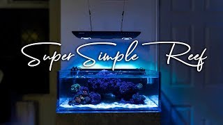 How To Setup a Super Simple Saltwater Reef Aquarium for Beginners [upl. by Safire146]