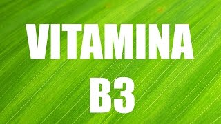 Vitamina B3 A Niacina Importância funções benefícios e fontes naturais [upl. by Enneillij]