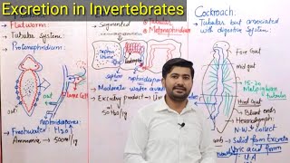 Excretion in Planaria Earthworm and Cockroach class 12  Excretion in Invertebrates [upl. by Litnahs]