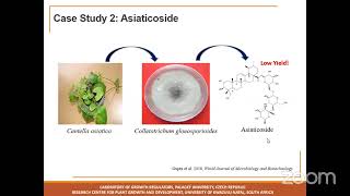 Lecture 24  Exploiting the pharmaceutical potential of plant endophytic fungi [upl. by Resee]