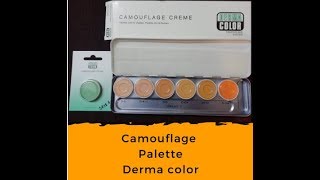 Kryolan Professional Makeup base  Derma Color  camouflage palette [upl. by Lucien571]