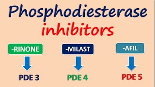 Phosphodiesterase inhibitors [upl. by Munro]