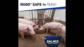 Salmix  HoofCareNuqo Safe  SBSS 2021 [upl. by Shulman]