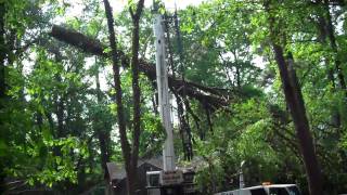 Crane dropping 20000 lb tree on house Birmingham AL [upl. by Bertha]