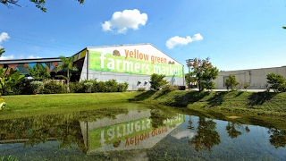 Yellow Green Farmers Market [upl. by Nide]