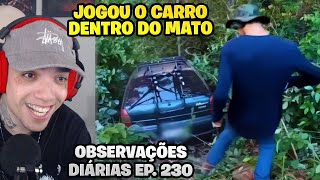 REACT OBSERVAÇÕES DIÁRIAS EP 230 [upl. by Langbehn]