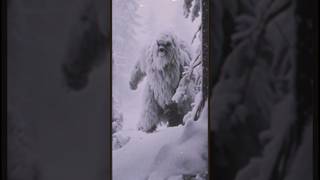 Hiker runs into Yeti  doesn’t make it out creepy beast yeti bigfoot nightmare horror [upl. by Mcbride]