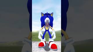 ALL SIZE SONIC TAPES FAMILY FROM SMALL TO BIG in Garrys Mod  sonic [upl. by Airdnekal936]