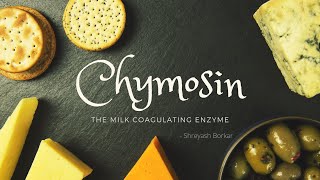 Chymosin The milk coagulating enzyme [upl. by Ylrac]