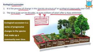 What is Ecological Succession   Ecological Succession అంటే ఏమిటి  La Excellence [upl. by Merceer]