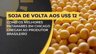 Soja de volta aos us 12 como os melhores patamares em chicago chegam ao produtor brasileiro [upl. by Halli]