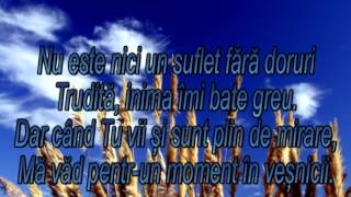 Tu ma ridiciCand sunt cazut Negative CrestineV [upl. by Ameen]